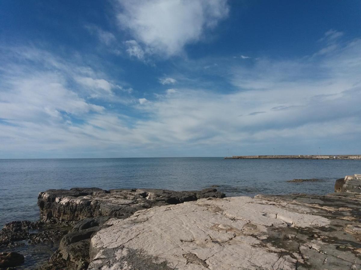 Bed and Breakfast Ranch Radin Brtonigla Esterno foto